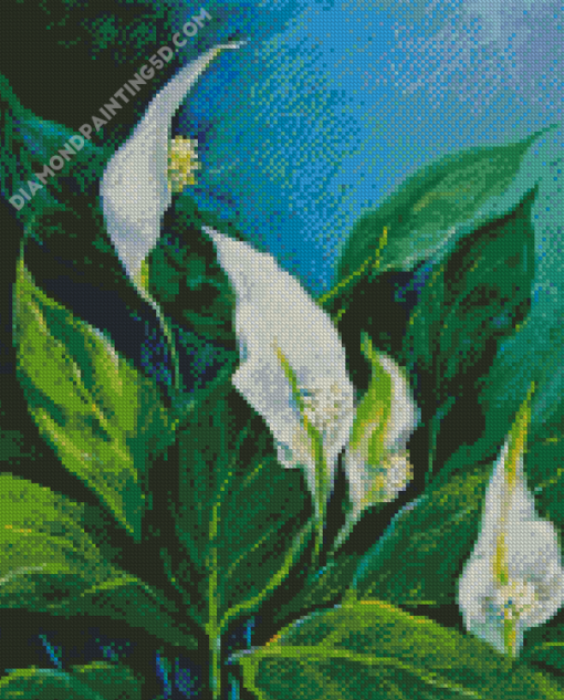 Peace Lily Diamond Paintings