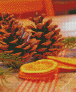 Pinecone And Oranges Diamond Paintings