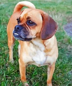 Puggle Dog Diamond Paintings