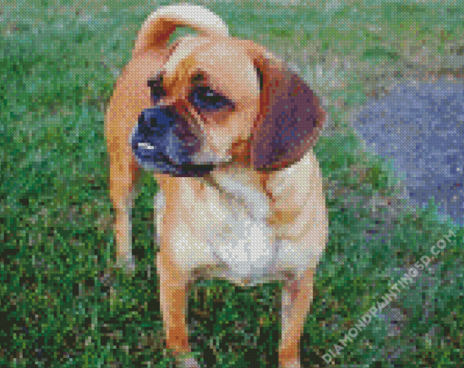 Puggle Dog Diamond Paintings