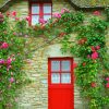 Red Flowering Door Diamond Paintings