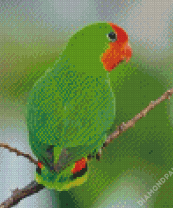 Red Lovebird Diamond Painting s