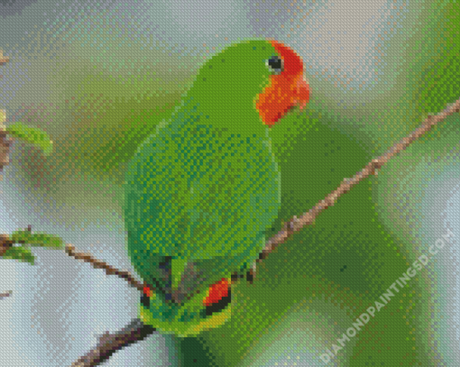 Red Lovebird Diamond Painting s