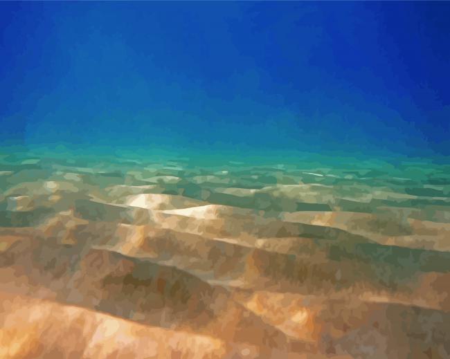 Sandy Bottom Ocean Diamond Paintings