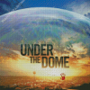 Under The Dome Diamond Paintings