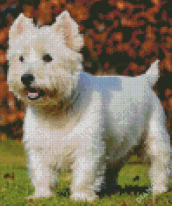 West Highland Terrier Puppy Diamond Paintings