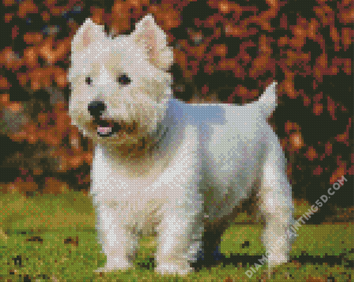 West Highland Terrier Puppy Diamond Paintings