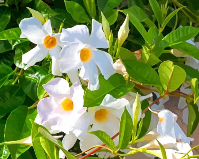 White Mandevilla Diamond Paintings