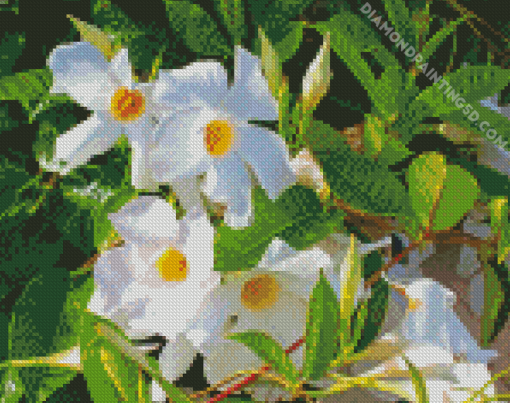 White Mandevilla Diamond Paintings