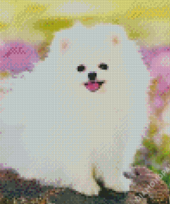 White Pomeranian Dog Diamond Paintings