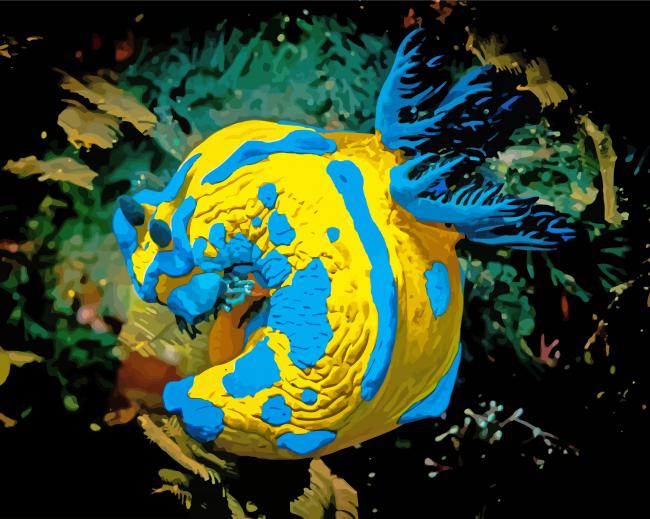 Yellow And Blue Sea Slug Diamond Paintings