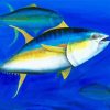 Yellow Fin Tuna Diamond Paintings