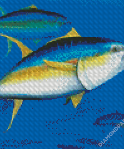 Yellow Fin Tuna Diamond Paintings