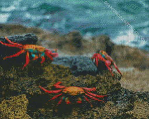 Aesthetic Crab Diamond Paintings