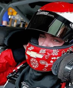 Alex Bowman Wearing Helmet Diamond Paintings