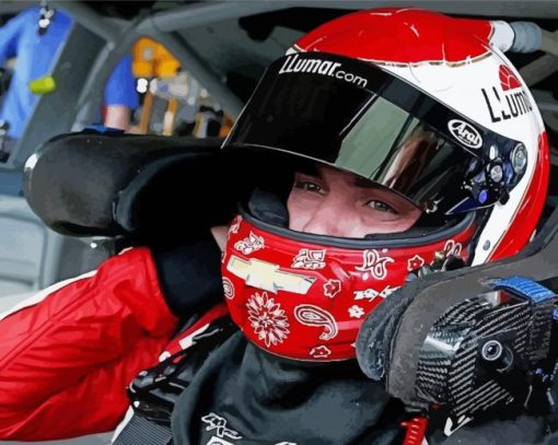 Alex Bowman Wearing Helmet Diamond Paintings