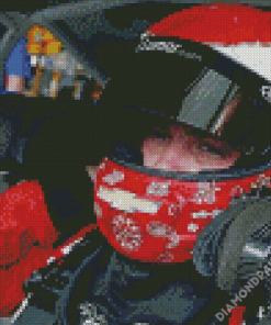 Alex Bowman Wearing Helmet Diamond Paintings