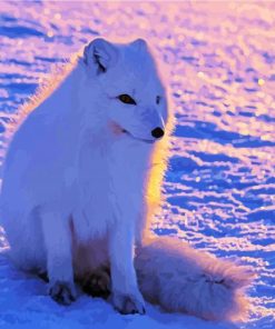 Arctic Fox In Snow Diamond Paintings