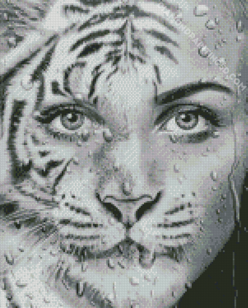 Black And White Tiger Woman Diamond Paintings