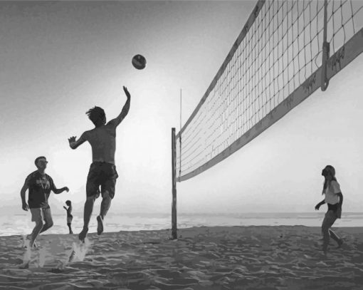 Black And White Beach Volleyball Diamond Paintings