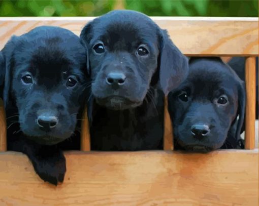 Black Labs Puppies Diamond Paintings