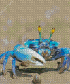 Blue Crab Diamond Paintings