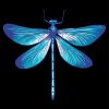 Blue Dragonfly Art Diamond Paintings