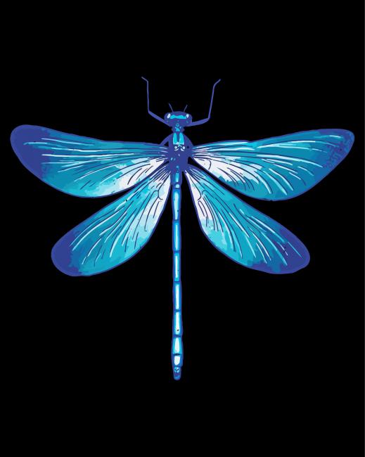 Blue Dragonfly Art Diamond Paintings