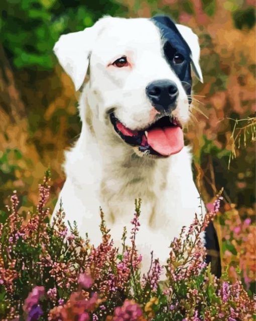 Boxer Border Collie Diamond Paintings