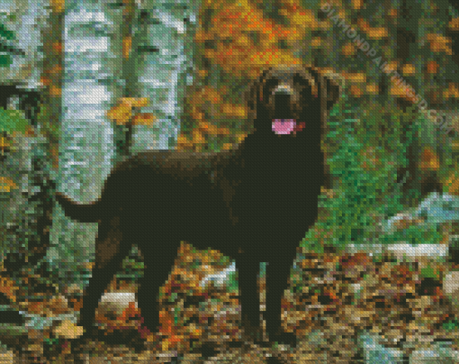 Brown Labrador Dog Animal Diamond Paintings