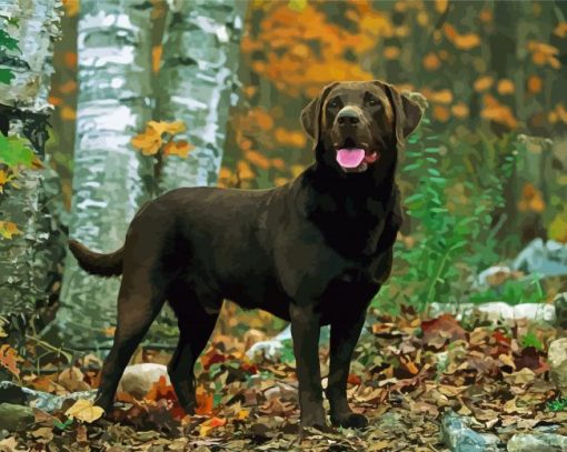 Brown Labrador Dog Animal Diamond Paintings