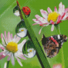 Butterfly And Ladybug On Flower Diamond Paintings