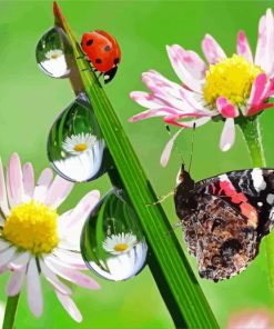 Butterfly And Ladybug On Flower Diamond Paintings