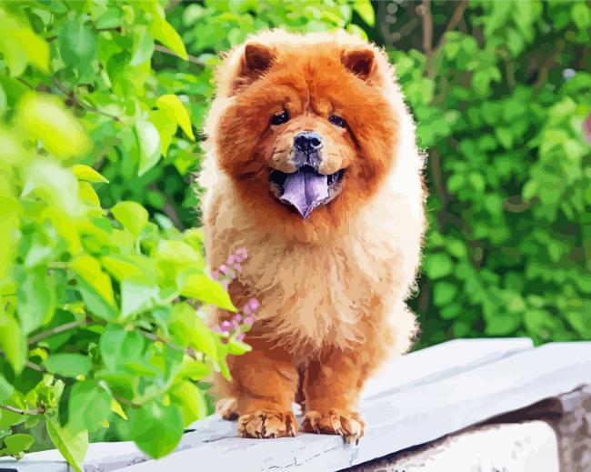 Chow Chow Puppy Diamond Paintings