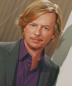 David Spade American Actor Diamond Paintings