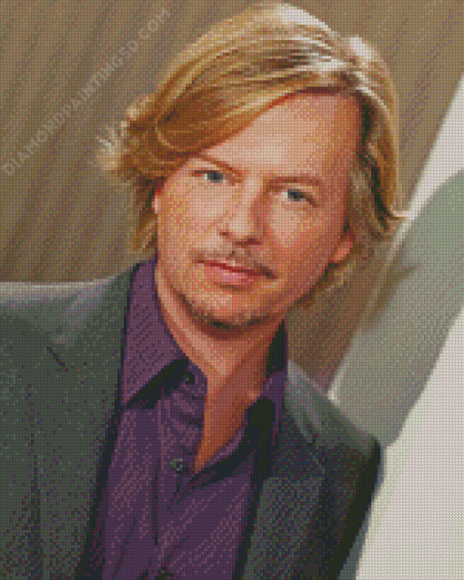 David Spade American Actor Diamond Paintings