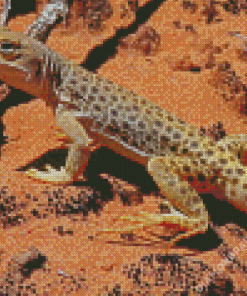 Desert Gecko Reptile Diamond Paintings