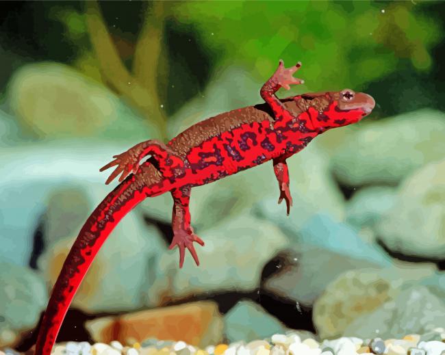 Fire Belly Newt Diamond Paintings