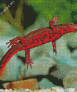 Fire Belly Newt Diamond Paintings