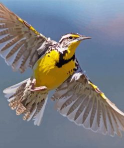 Flying Western Meadowlark Diamond Paintings