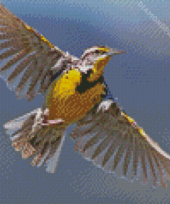 Flying Western Meadowlark Diamond Paintings