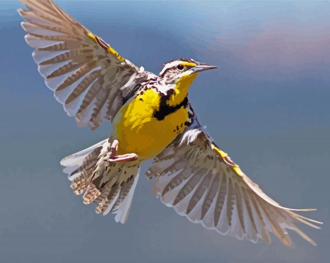 Flying Western Meadowlark Diamond Paintings