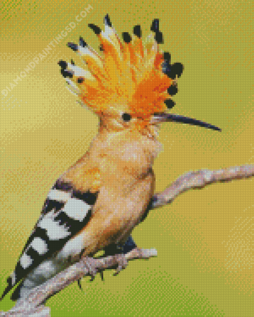 Hoopoe Diamond Paintings