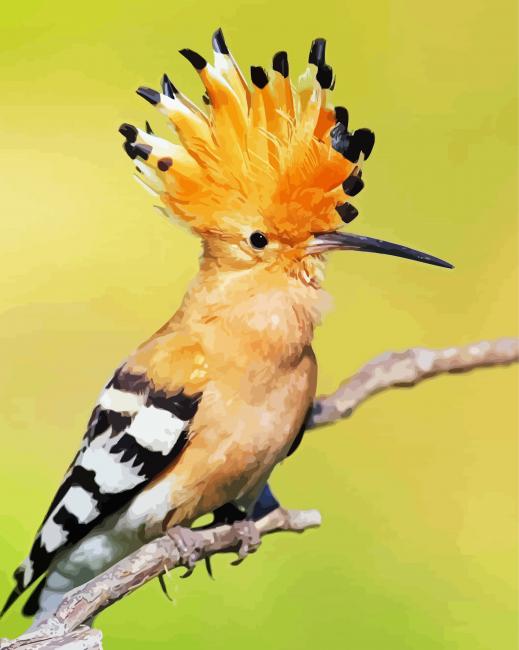 Hoopoe Diamond Paintings