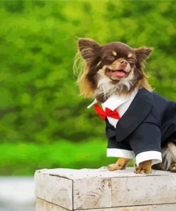 Long Haired Chihuahua Wearing Suit Diamond Paintings