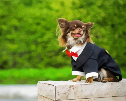 Long Haired Chihuahua Wearing Suit Diamond Paintings