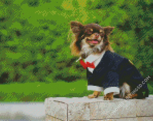 Long Haired Chihuahua Wearing Suit Diamond Paintings