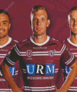 Manly Sea Eagles Diamond Paintings