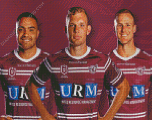 Manly Sea Eagles Diamond Paintings