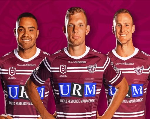 Manly Sea Eagles Diamond Paintings